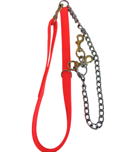 Nylon/chain Tree Lead 2 dog