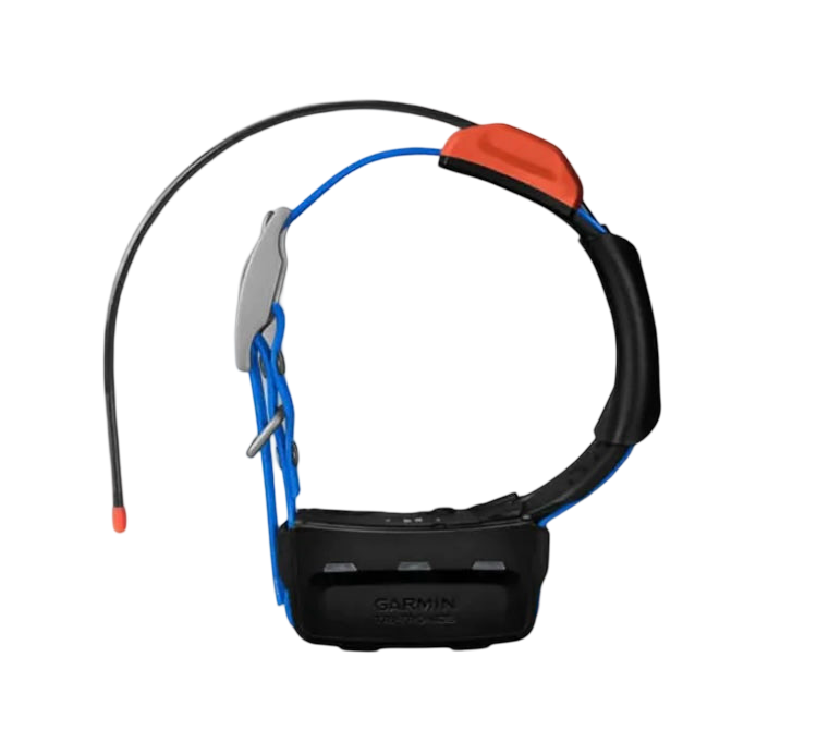 Garmin T5X tracking collar