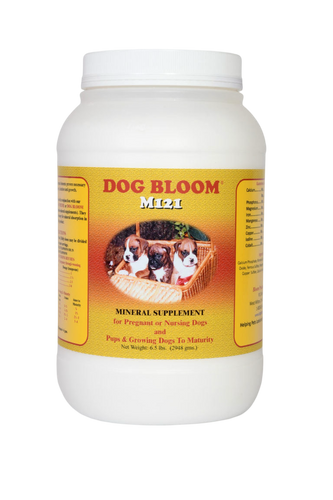 Dog Bloom M121