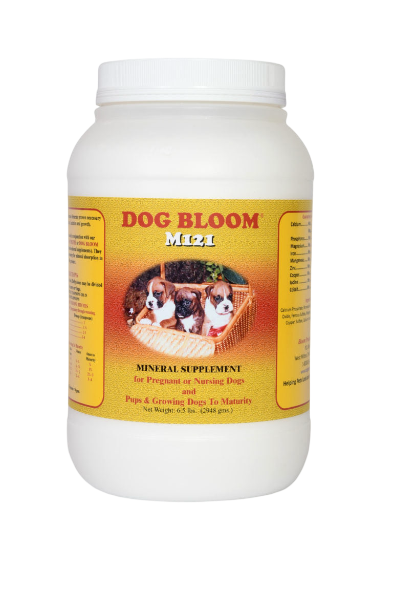 Dog Bloom M121