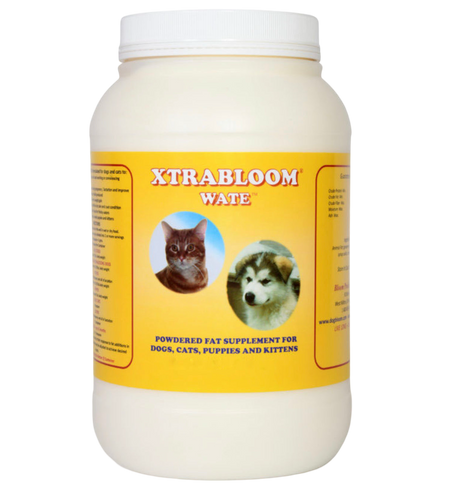 Dog bloom Xtrabloom wate