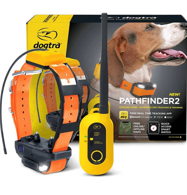 Dogtra Pathfinder 2