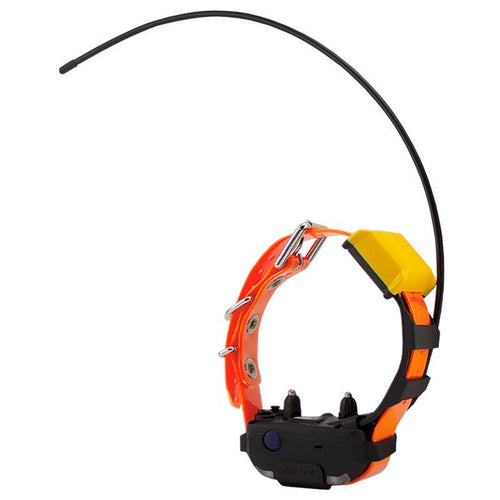 Dogtra Pathfinder 2 track and train mini collar