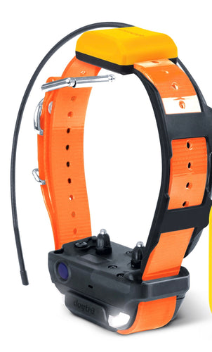 Dogtra Pathfinder 2 track and train collar